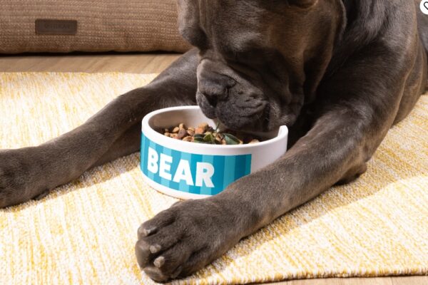 Custom Pet Bowls - Image 7