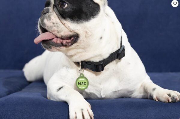 Pet Tags - Image 5