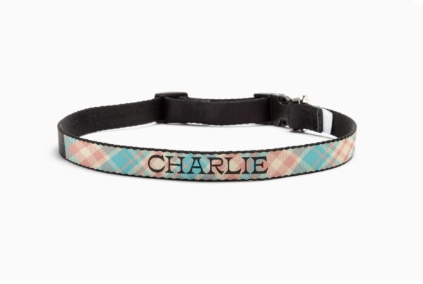 Custom Dog Collars - Image 4