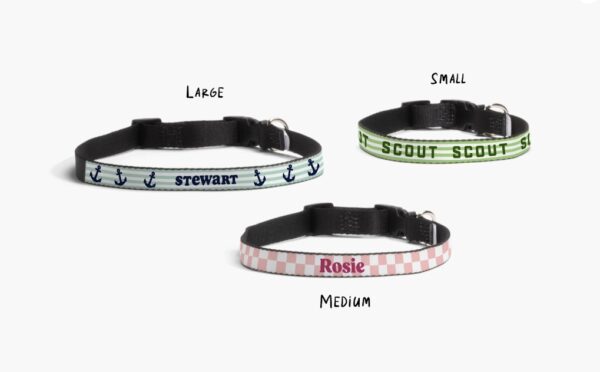 Custom Dog Collars - Image 3