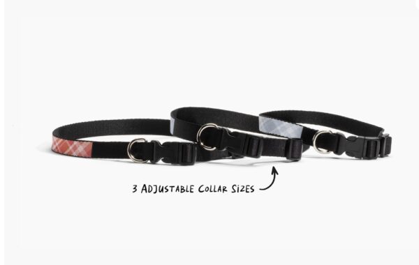 Custom Dog Collars - Image 2