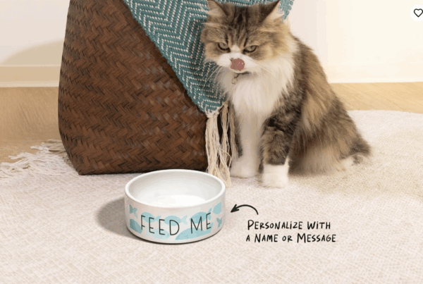 Custom Pet Bowls - Image 6