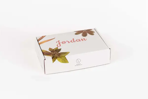 Set of 6 Handmade cold process ,Natural Soap Bars in gift Set box - Image 4