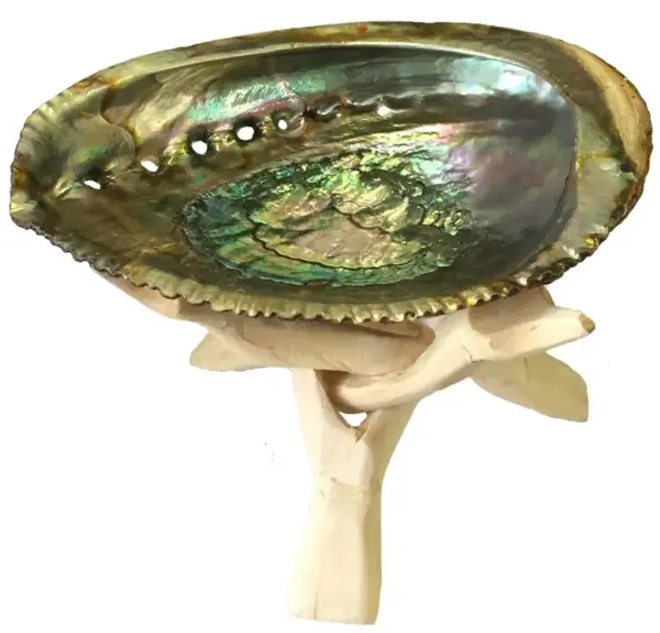 Abalone shell ash tray and combo - Image 3