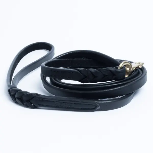 Braided Leash - Image 11