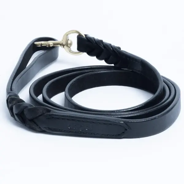 Braided Leash - Image 12