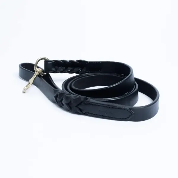 Braided Leash - Image 18