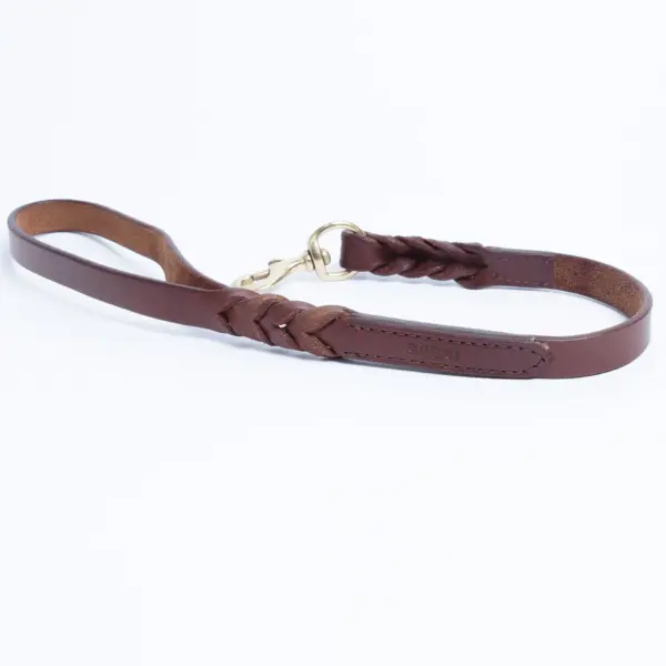 Braided Leash - Image 23