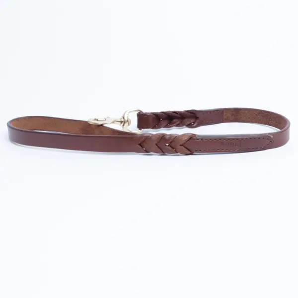 Braided Leash - Image 25