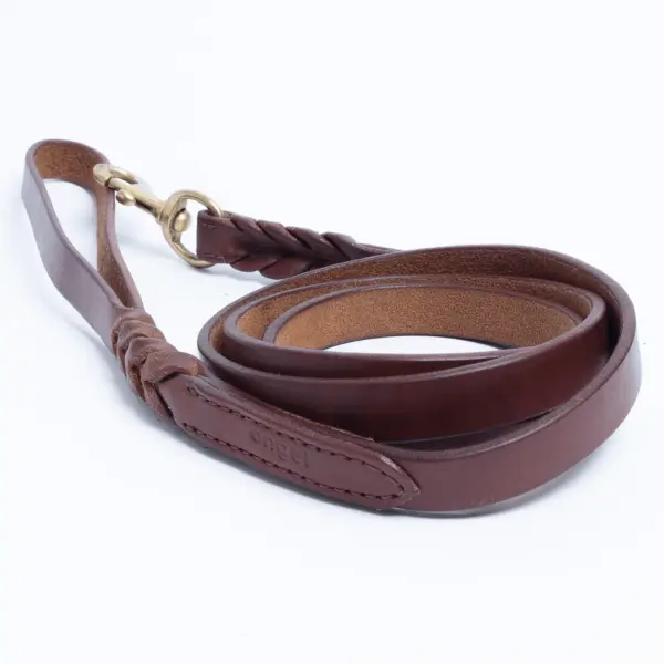 Braided Leash - Image 26
