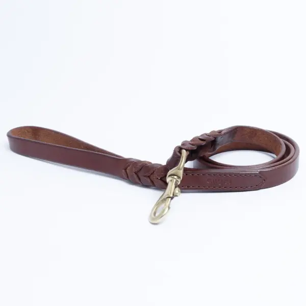 Braided Leash - Image 28