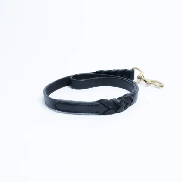 Braided Leash - Image 31