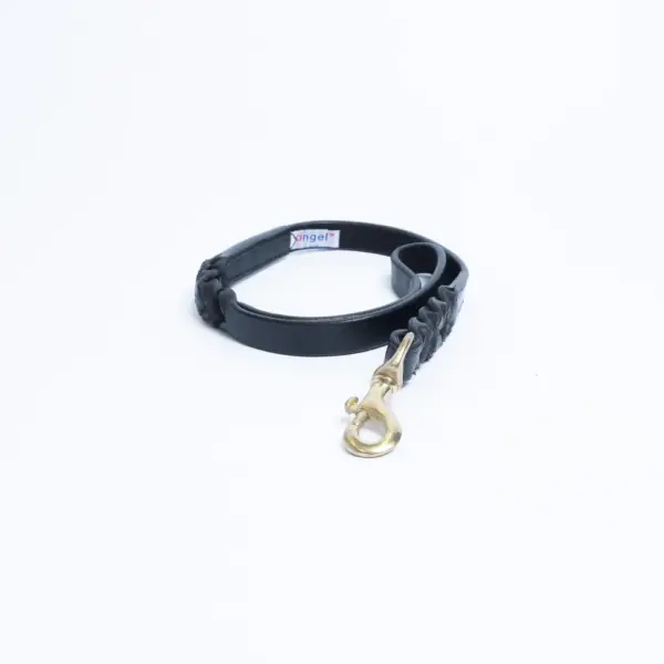 Braided Leash - Image 33