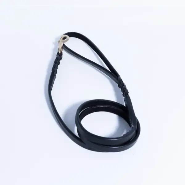 Braided Leash - Image 34