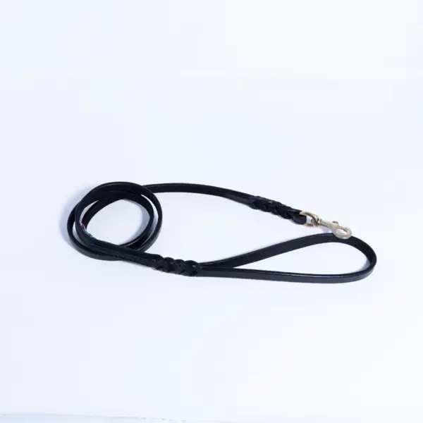 Braided Leash - Image 36