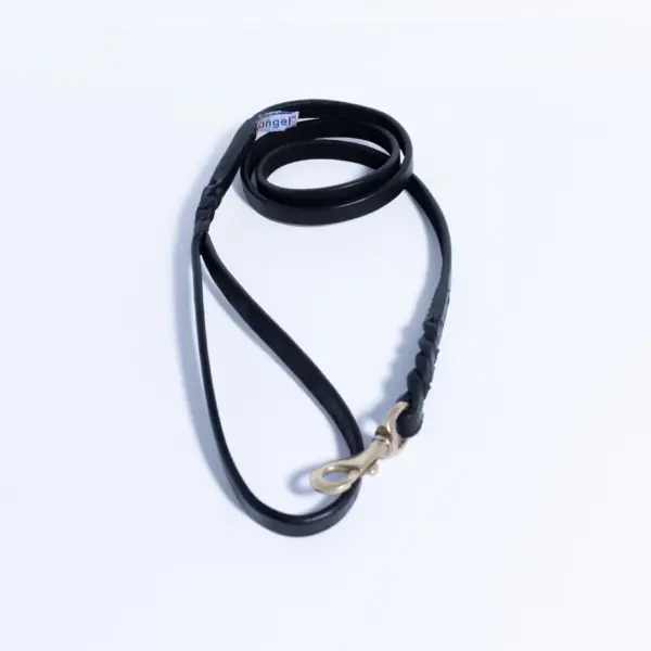 Braided Leash - Image 37