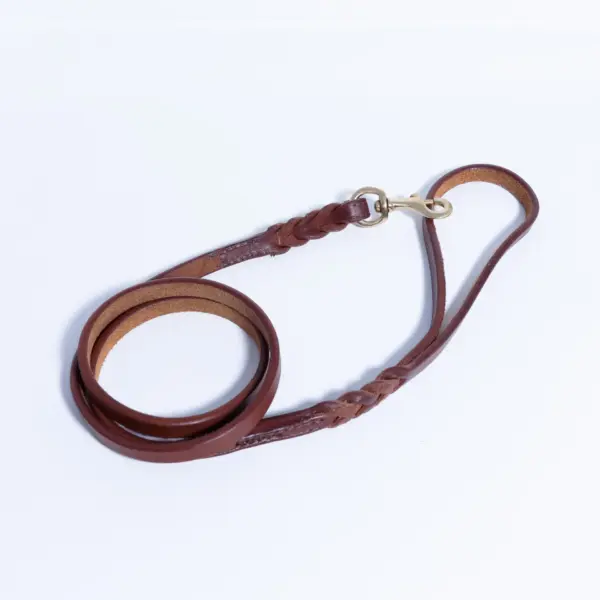 Braided Leash - Image 42