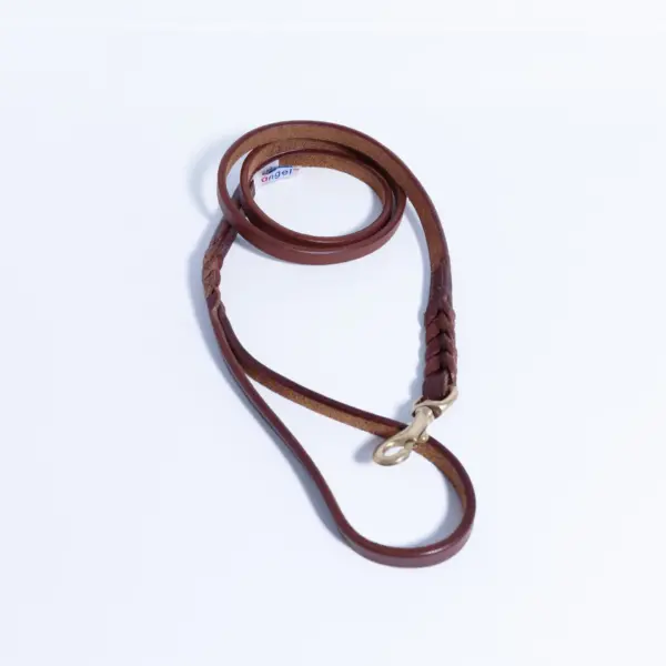 Braided Leash - Image 41