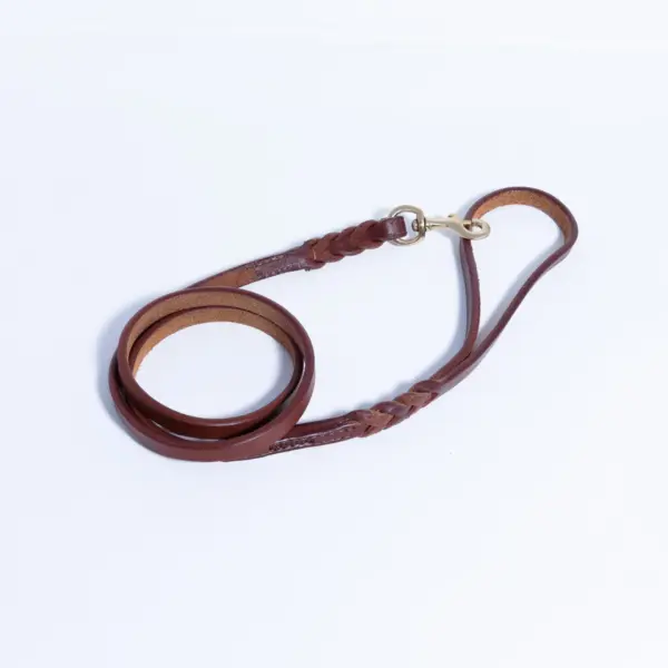 Braided Leash - Image 43