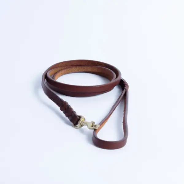 Braided Leash - Image 44