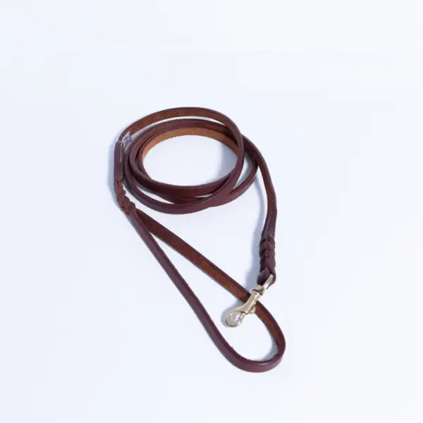 Braided Leash - Image 46