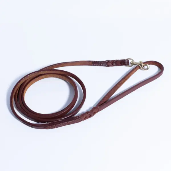 Braided Leash - Image 45