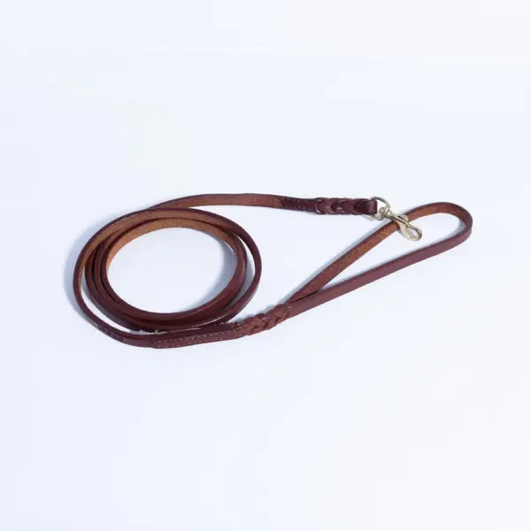 Braided Leash - Image 47