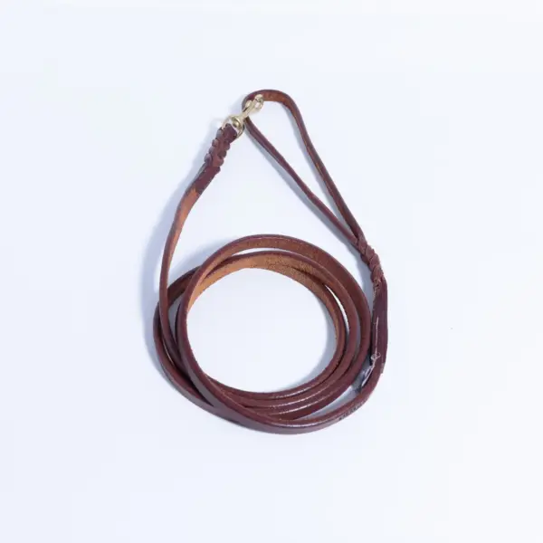 Braided Leash - Image 48