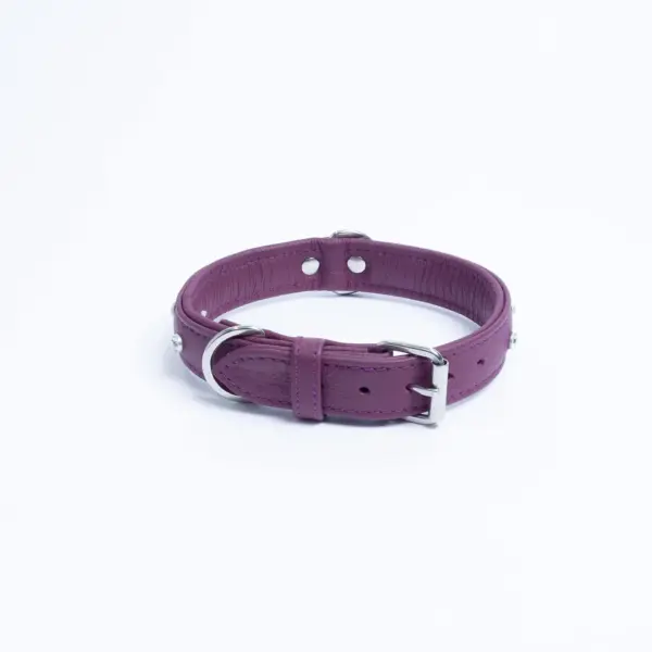 Athens Dog Collar ( Pink | Purple ) - Image 26