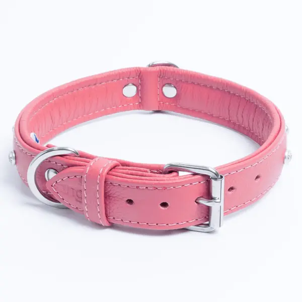 Athens Dog Collar ( Pink | Purple ) - Image 18
