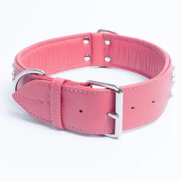 Athens Dog Collar ( Pink | Purple ) - Image 23