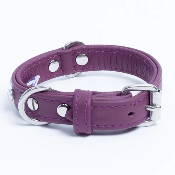 Athens Dog Collar ( Pink | Purple ) - Image 31
