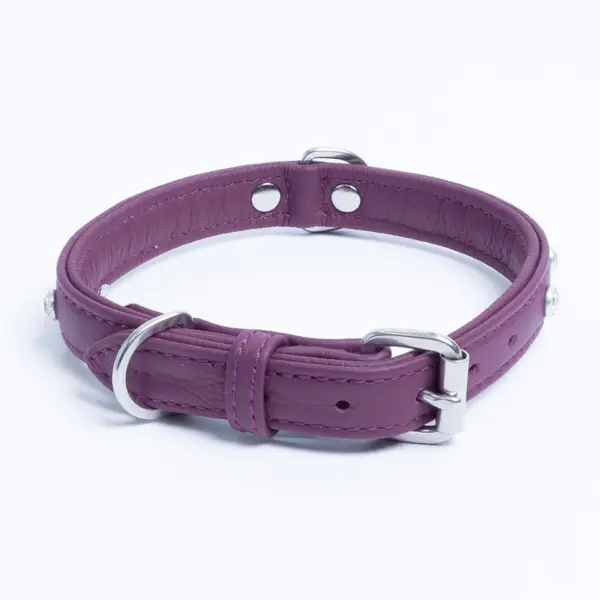 Athens Dog Collar ( Pink | Purple ) - Image 34