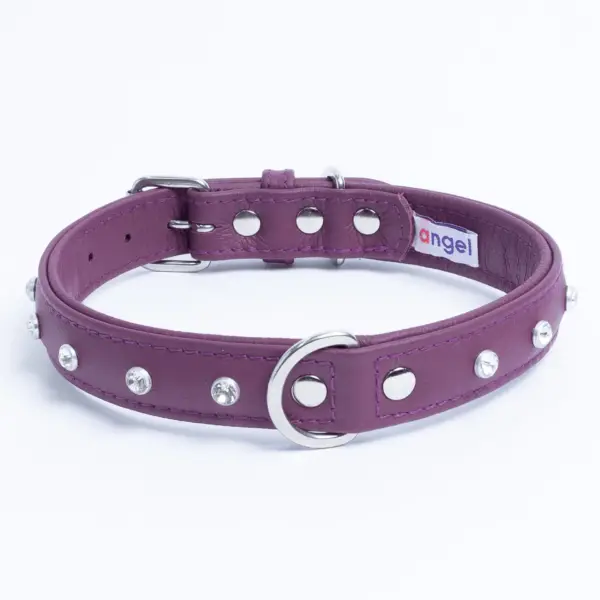 Athens Dog Collar ( Pink | Purple ) - Image 35