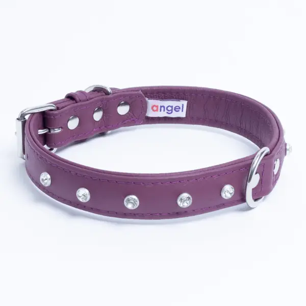 Athens Dog Collar ( Pink | Purple ) - Image 37