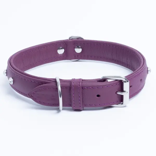 Athens Dog Collar ( Pink | Purple ) - Image 38