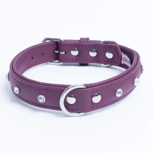 Athens Dog Collar ( Pink | Purple ) - Image 40