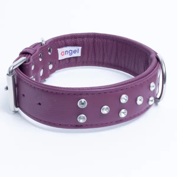 Athens Dog Collar ( Pink | Purple ) - Image 39
