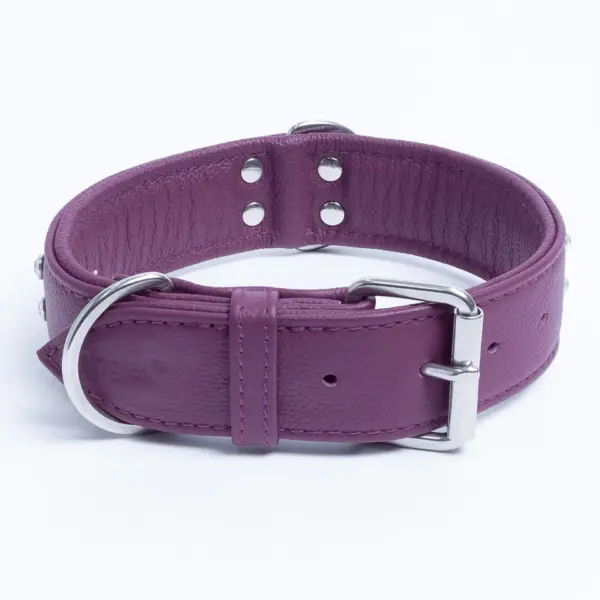 Athens Dog Collar ( Pink | Purple ) - Image 41