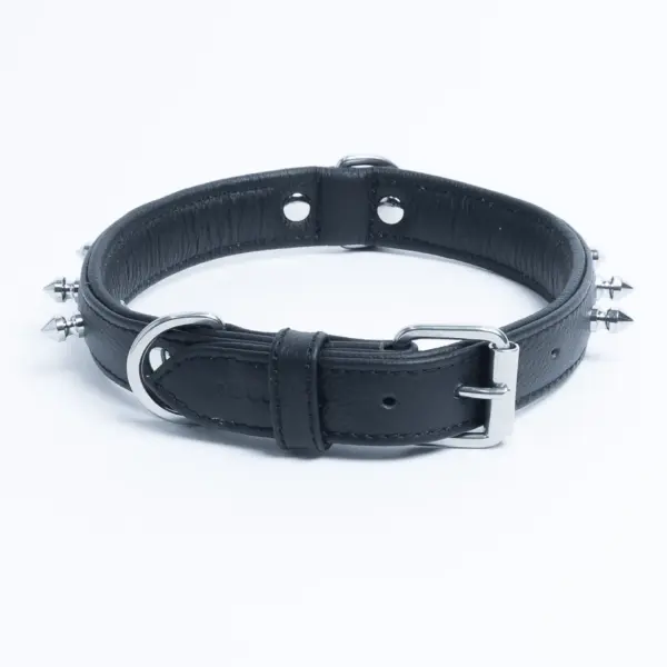 Rotterdam Spiked - Image 15