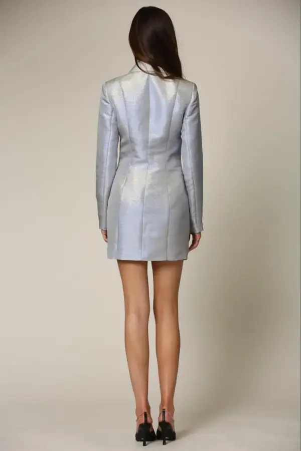 Cristie Metallic Two Tone Dress - Image 2