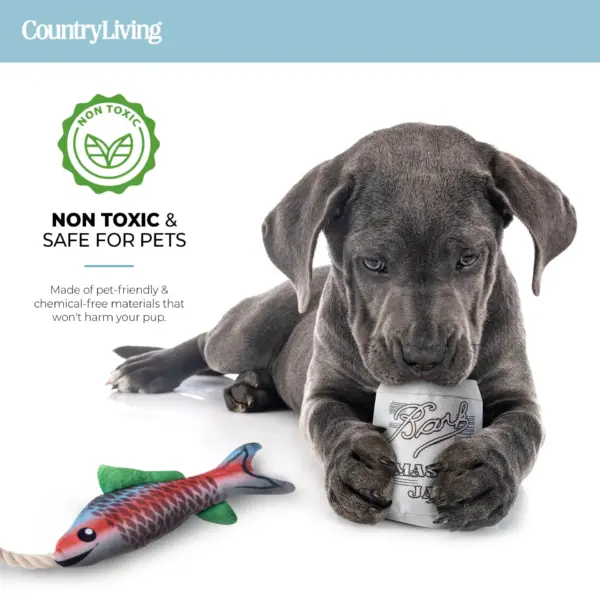 Durable Fish & Mason Jar Dog Toys 2 Pack for Aggressive Chewers - Image 4