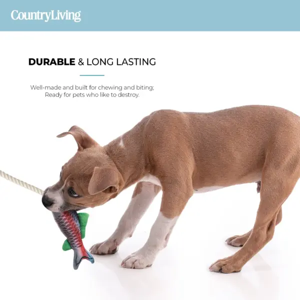Durable Fish & Mason Jar Dog Toys 2 Pack for Aggressive Chewers - Image 5
