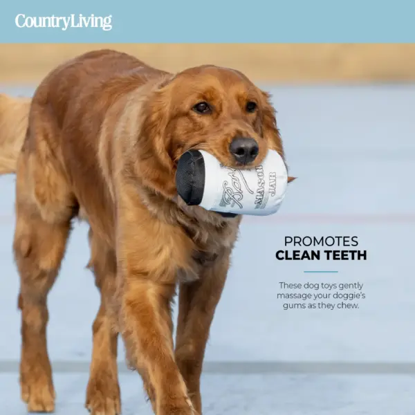 Durable Fish & Mason Jar Dog Toys 2 Pack for Aggressive Chewers - Image 8