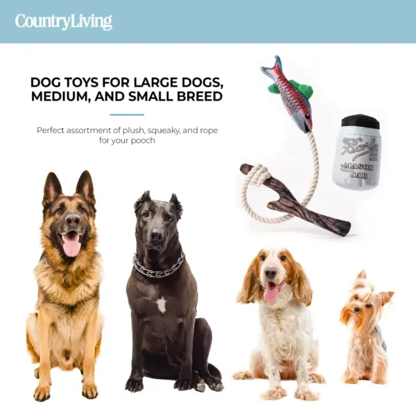 Durable Fish & Mason Jar Dog Toys 2 Pack for Aggressive Chewers - Image 9