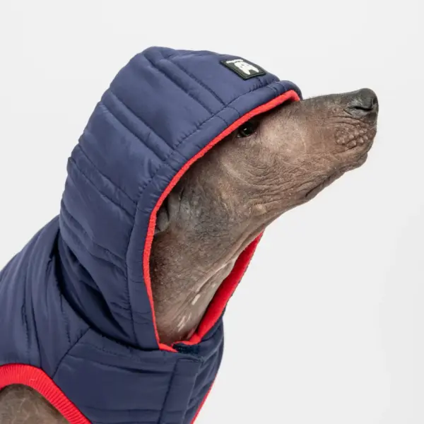Noah Dog Jacket Quilted Water-Resistant Winter Coat with Harness Access (Blue)