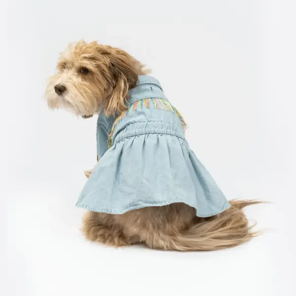 Ocean Denim Dog Dress Chic Festival-Ready Outfit with Rainbow Fringe & Leash Opening - Image 5