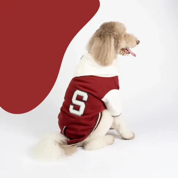 Otis Dog Letterman Jacket Varsity-Inspired Bomber with Hood & Leash Access - Image 2