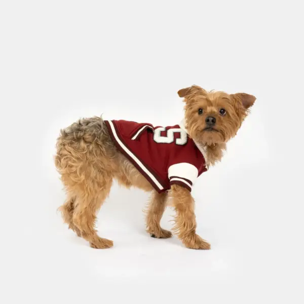 Otis Dog Letterman Jacket Varsity-Inspired Bomber with Hood & Leash Access