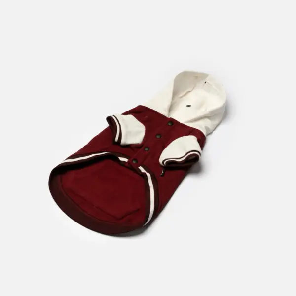 Otis Dog Letterman Jacket Varsity-Inspired Bomber with Hood & Leash Access - Image 4